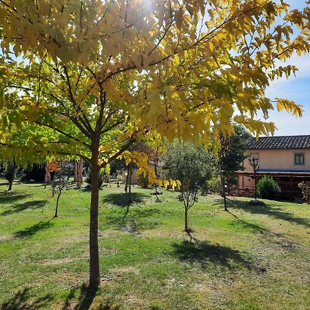 Sassomatto B&B Bioagriturelax Campogialli Екстер'єр фото